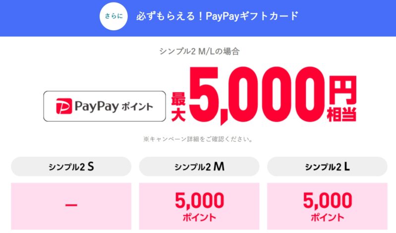 必ずもらえる！PayPayギフトカード(5000円分)